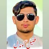 ch_fazeel_gondal_phalia