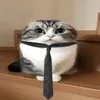 queazteroid