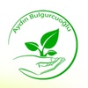 Aydın Bulgurcuoğlu