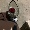 saloma_m12