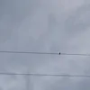 heusaf_4li