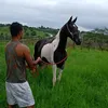 fernandodejesus29