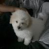 michelle021171
