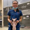 nicki_crazycatlady