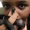 valaksnake