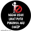apa_bujan9