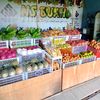 saridin_milenial