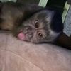 giselitaa_0