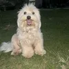 yeilaortega