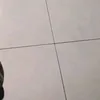 nnalni