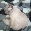 vince.ch6