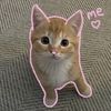 pawseey