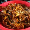 nasahuynh2022