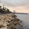lily_kauf