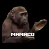 messicareca10_