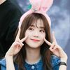 soya_jicchu