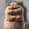 cjaymercado3