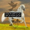 almaha7778