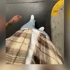 dyima_21