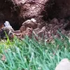 ioioio89746