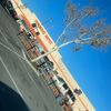 juancarlos184a