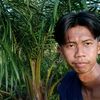 sugianto2901