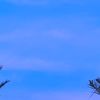 blue.soul_