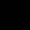 z_spiegel14