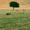 abosaad12178