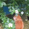 asnani.yonis