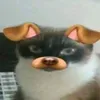 vyctorrr777