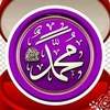 shoshomohamed577