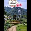 sis_jaliy