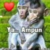 tondol0