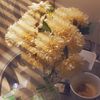 omnaif_1399