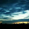 nguyentien5438