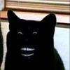 jekfers