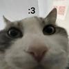 sirmeows25