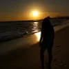 lns_nevees
