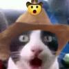 cat_in_a_cowboy_hat