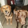 patton_penny1