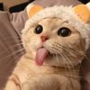 una_random13xd