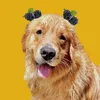 momorathegolden