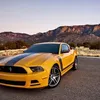 olek_345
