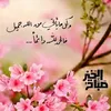 aall381