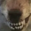 qqjqjkqpapplfhfb