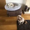 issydottiebailey7