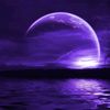 purplicious_17