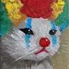 mincuteso1thegioii