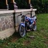bali_bangkit